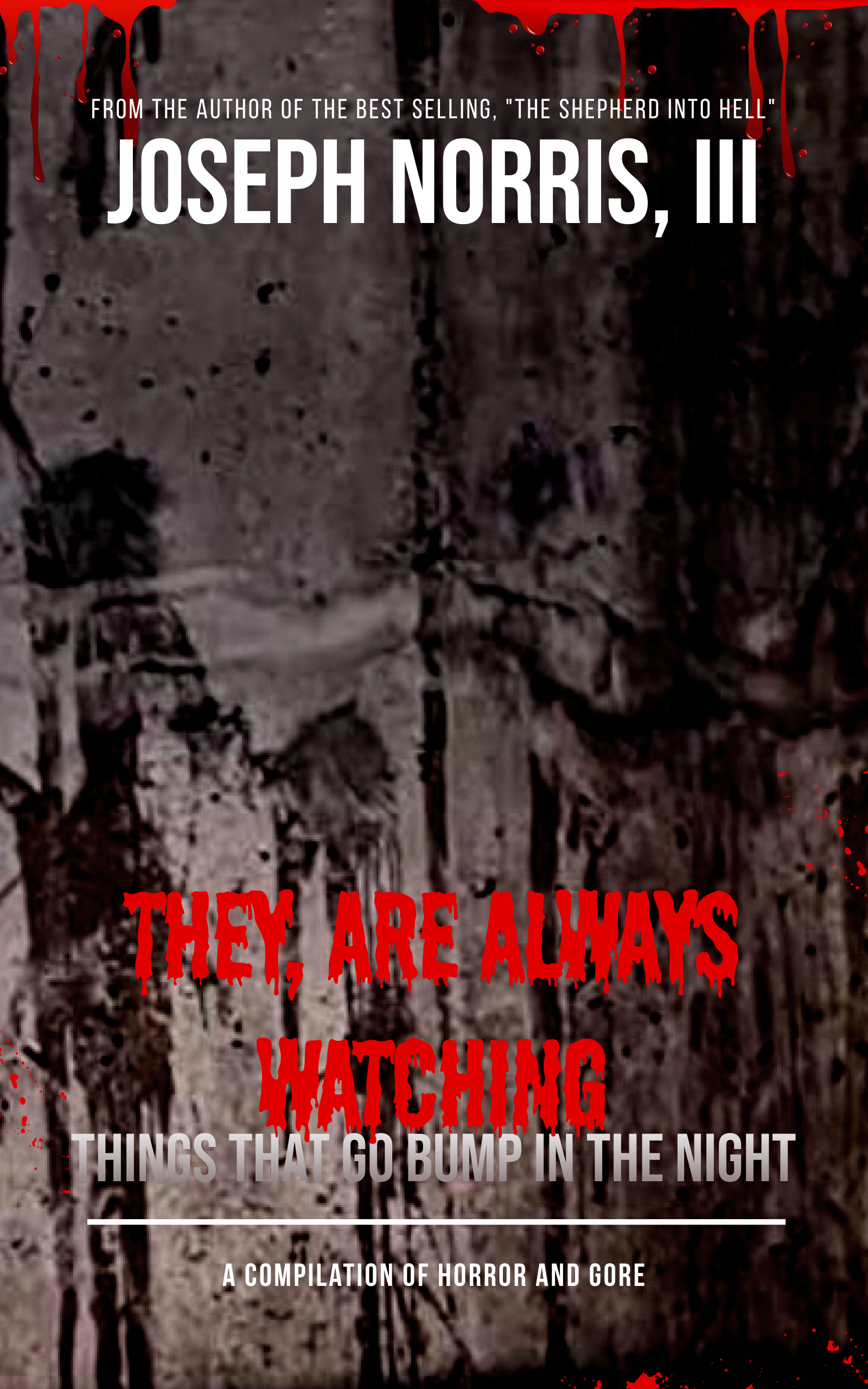 Book Cover - They, Are Always Watching