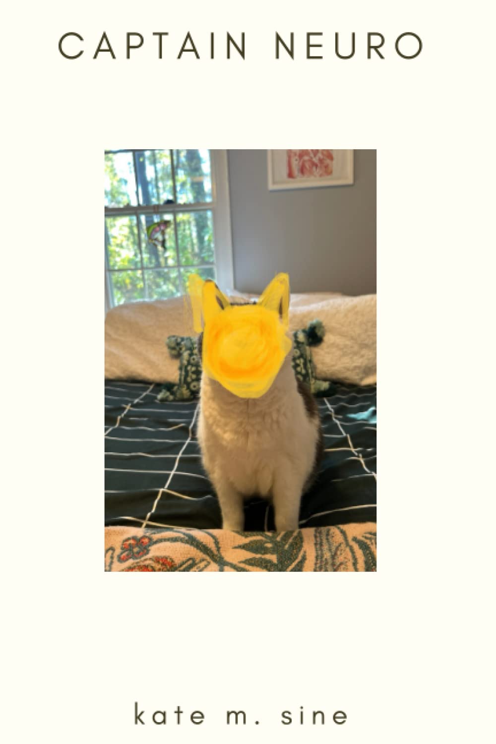 Book Cover - Captain Neuro; Artistic cat
