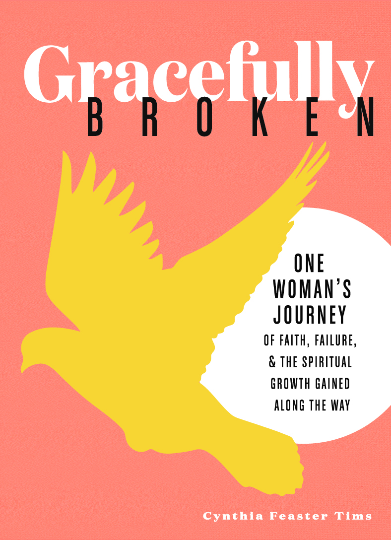 Book Cover - Gracefully Broken